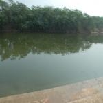 Vraj-Yatra-2014- (723)